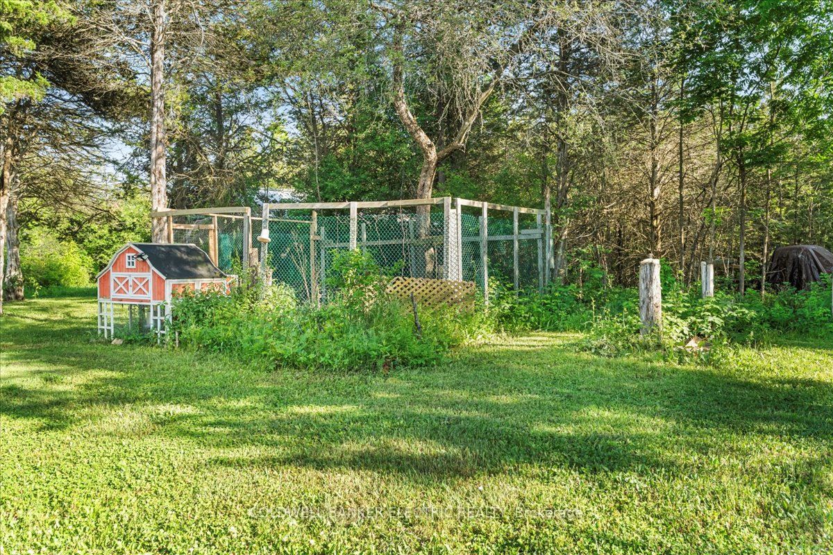 15 Mcintyre Road Property Photo 43