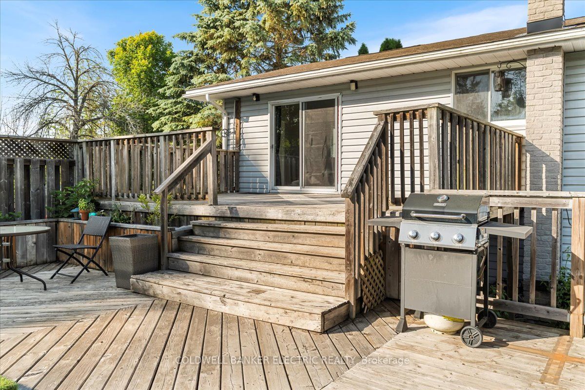 15 Mcintyre Road Property Photo 44