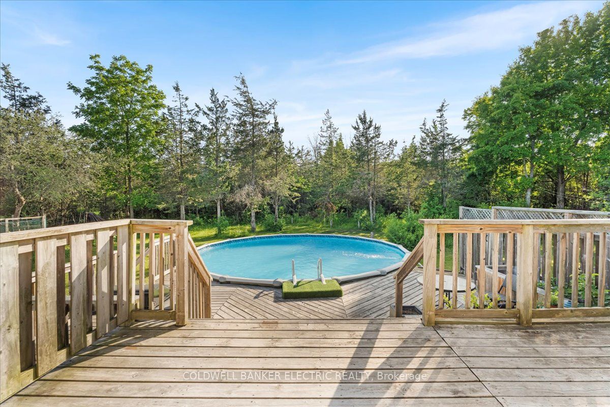 15 Mcintyre Road Property Photo 45