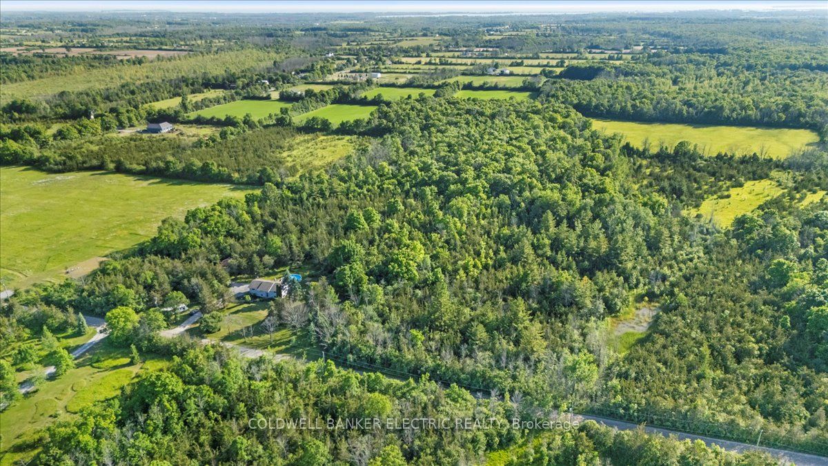 15 Mcintyre Road Property Photo 47