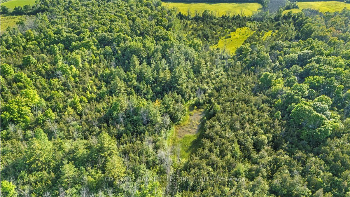 15 Mcintyre Road Property Photo 48