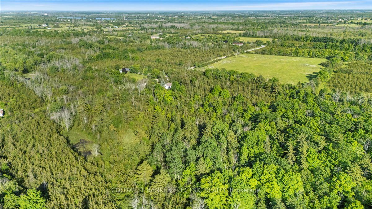 15 Mcintyre Road Property Photo 49