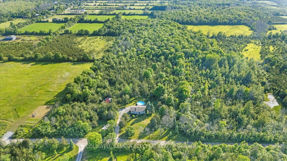 15 Mcintyre Road Property Photo 50