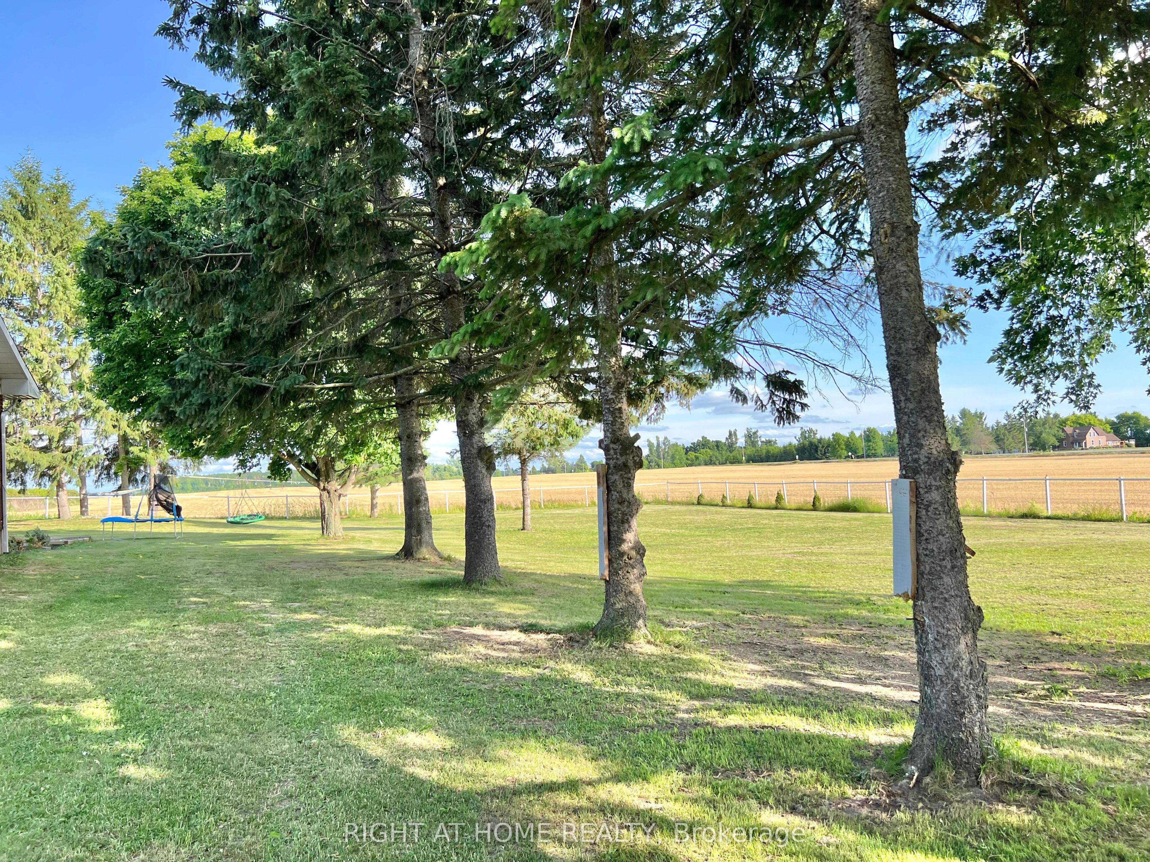 6181 Malakoff Road Property Photo 48