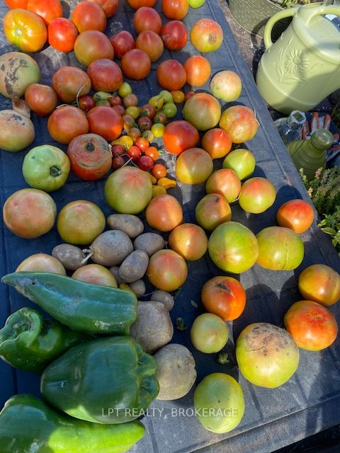 367 Kitley Line 8 Road Property Photo 9