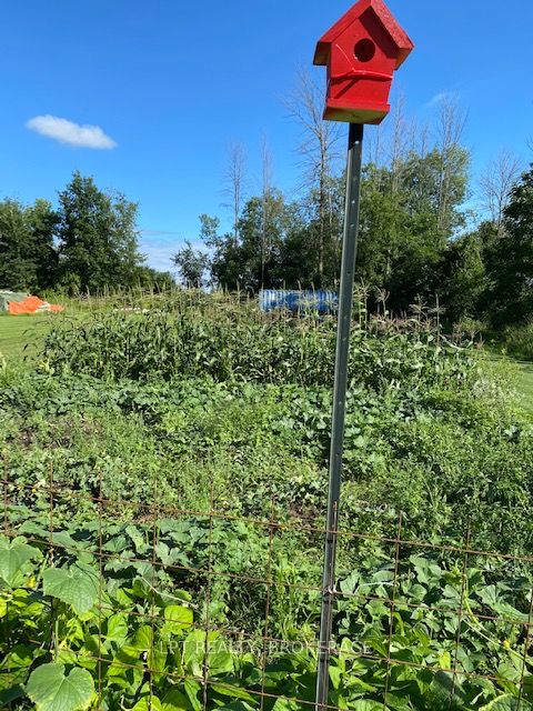 367 Kitley Line 8 Road Property Photo 10