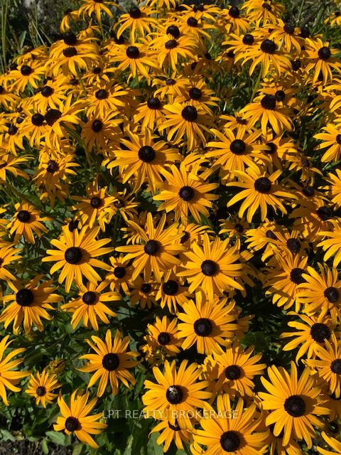 367 Kitley Line 8 Road Property Photo 11