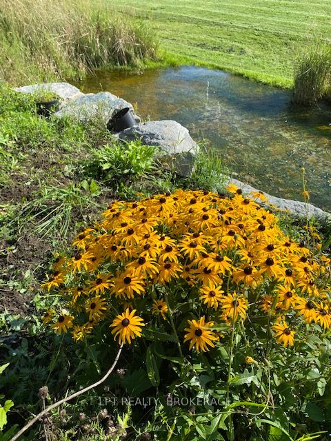 367 Kitley Line 8 Road Property Photo 12