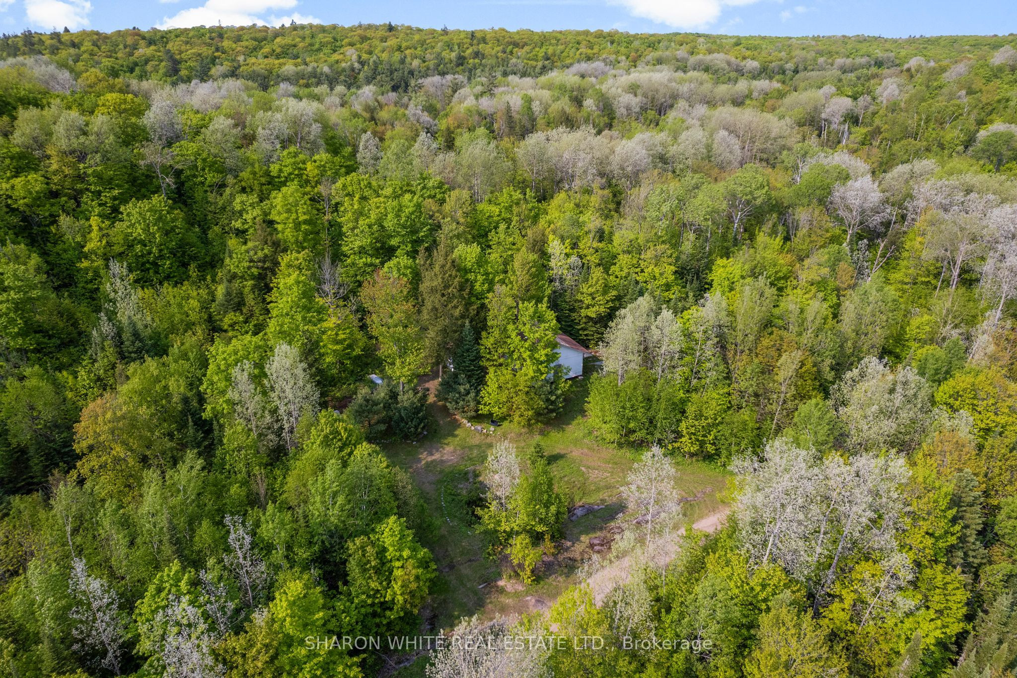 1374 Havensford Drive Property Photo 12