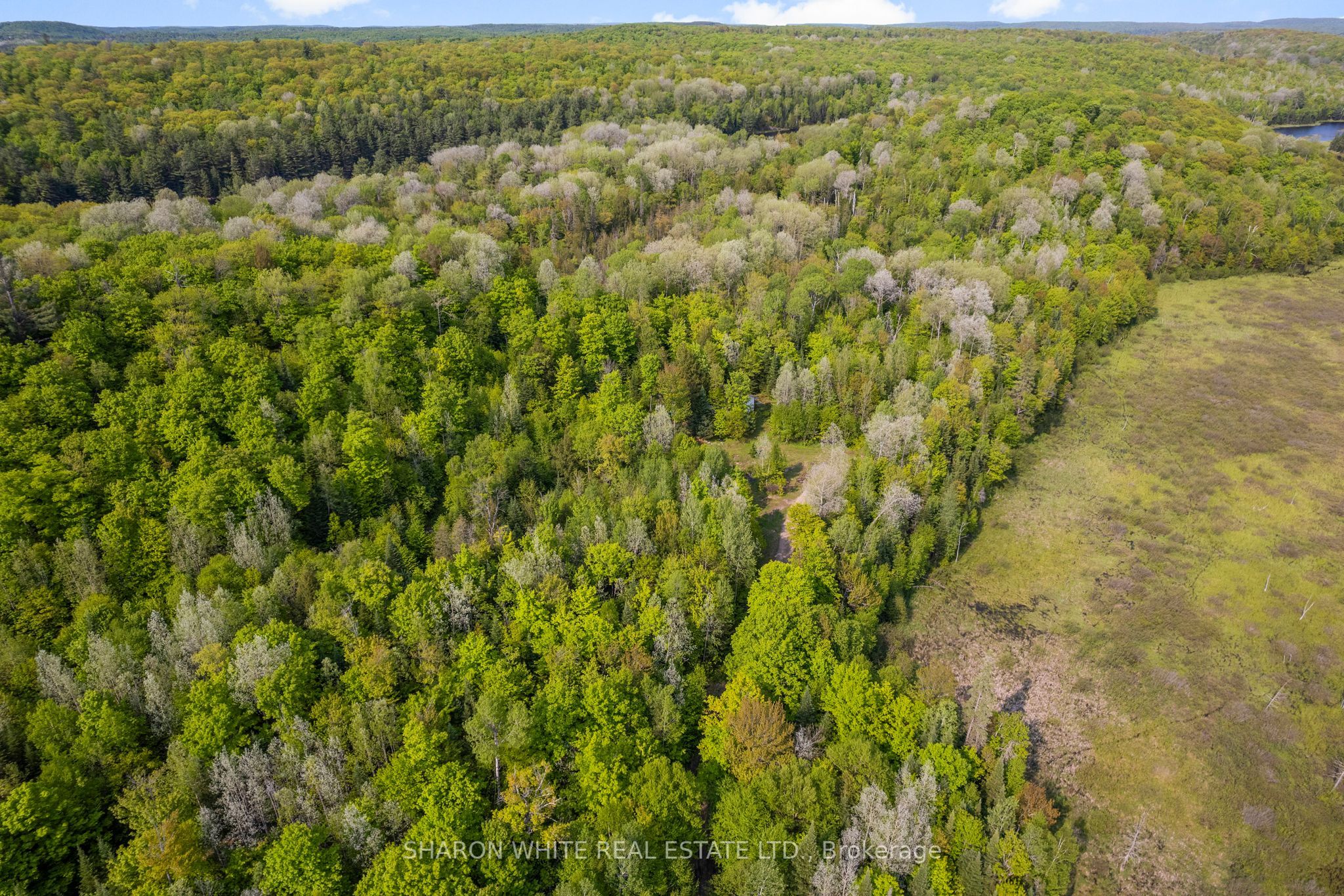 1374 Havensford Drive Property Photo 32