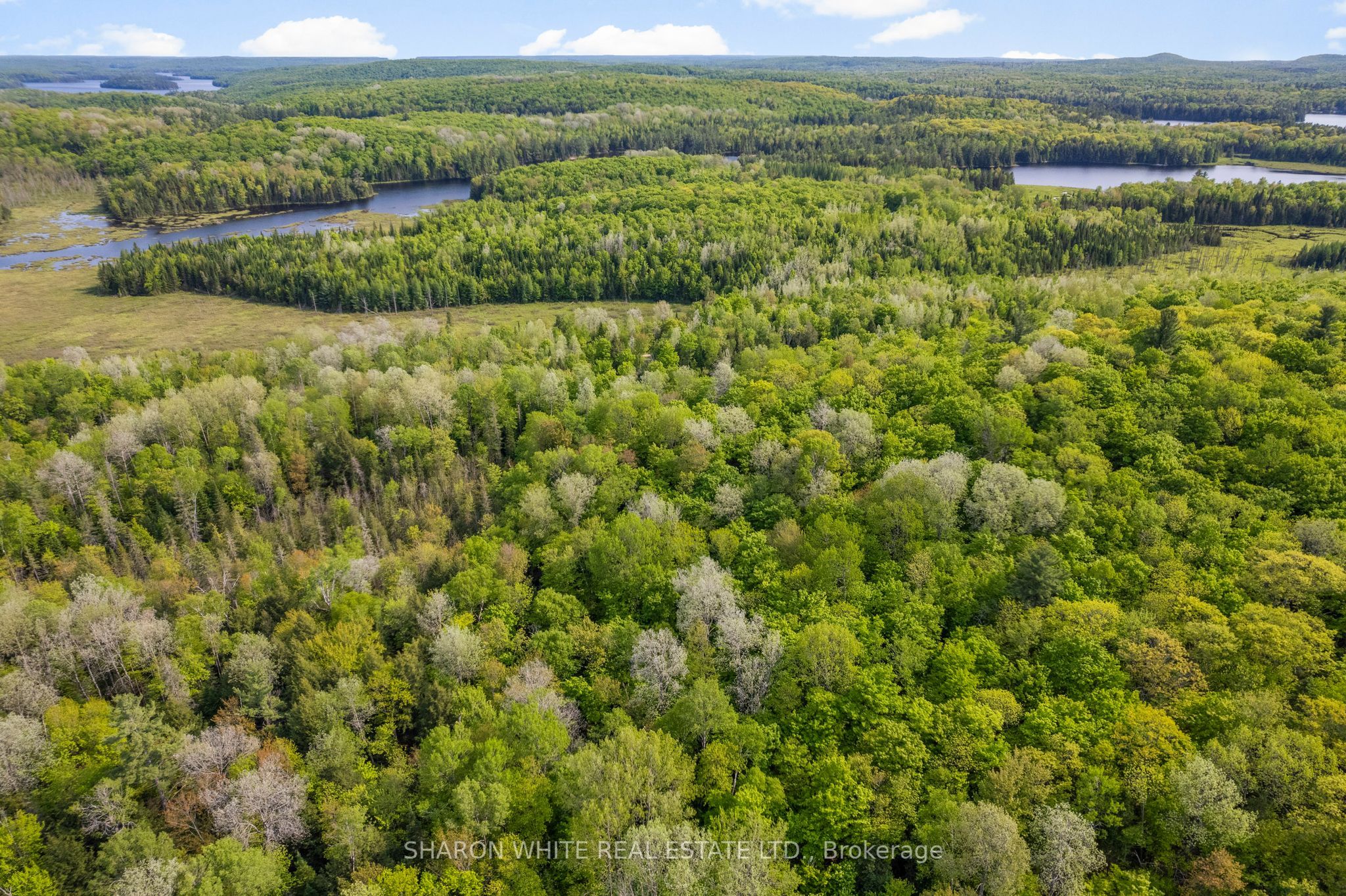 1374 Havensford Drive Property Photo 35