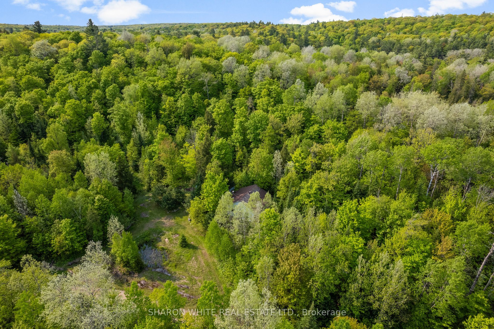 1374 Havensford Drive Property Photo 39