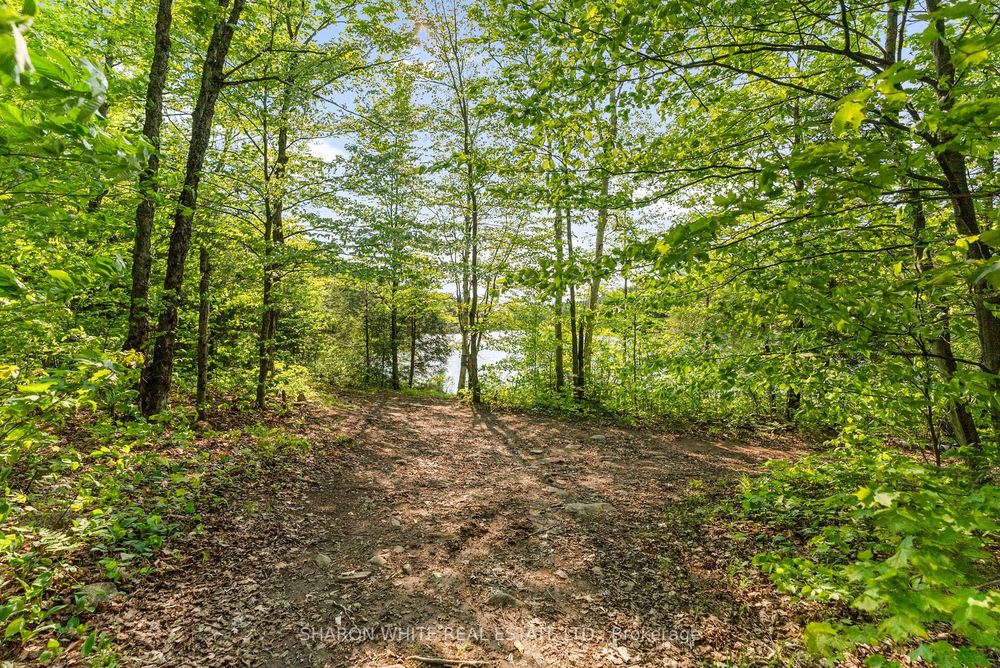 1374 Havensford Drive Property Photo 42