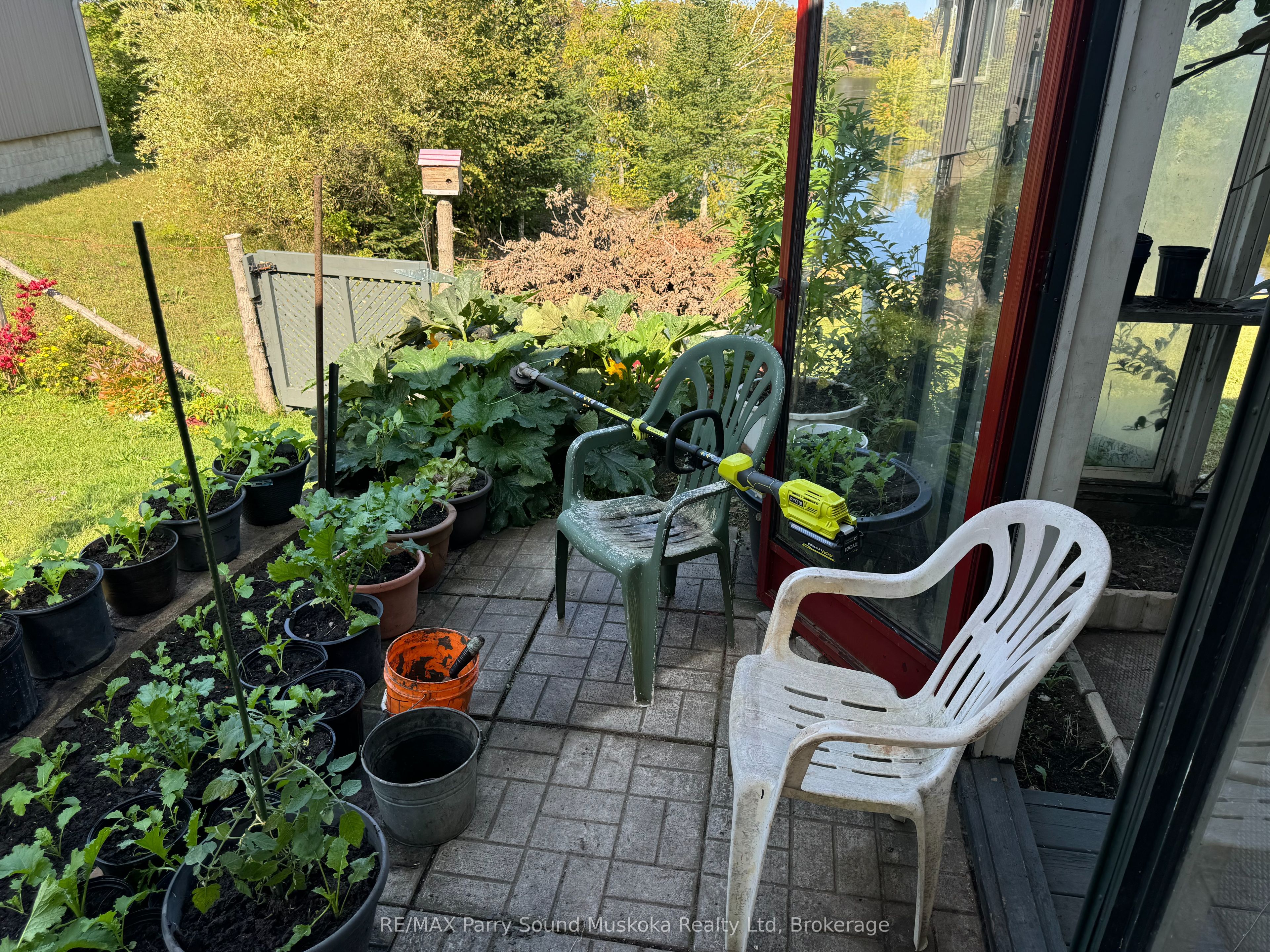 1 Gene's Court Property Photo 26