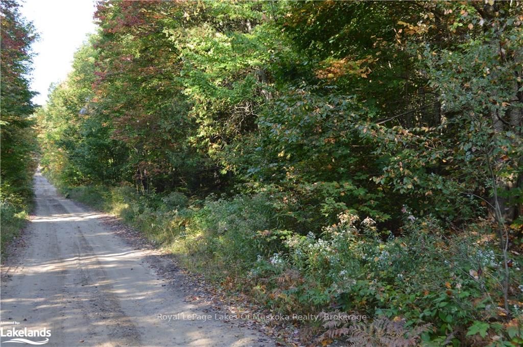Lot 20 Concession 5 Road Property Photo 1