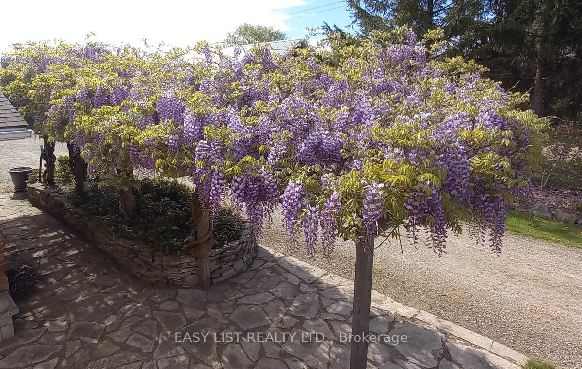 4311 Marthaville Road Property Photo 29