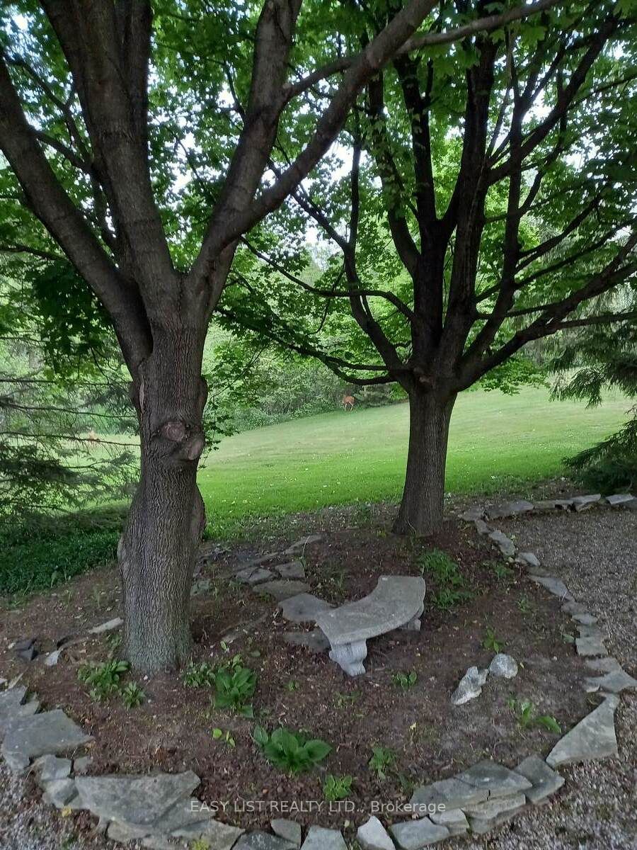 4311 Marthaville Road Property Photo 37