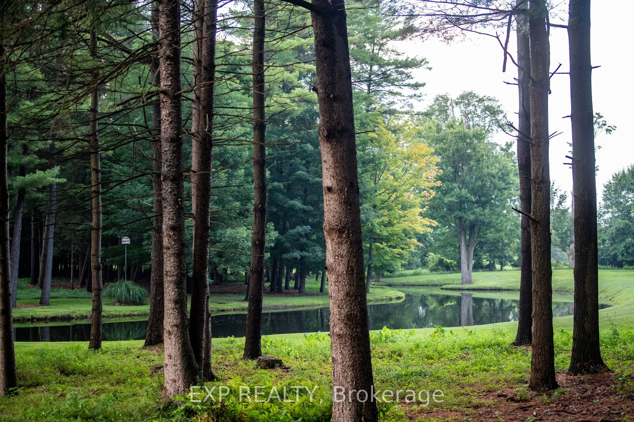 10608 Longwoods Road Property Photo 36