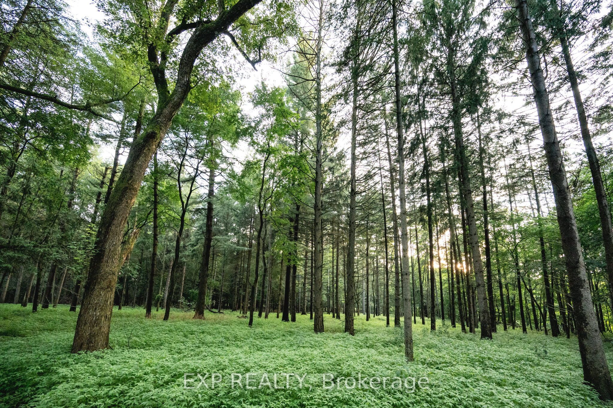 10608 Longwoods Road Property Photo 37