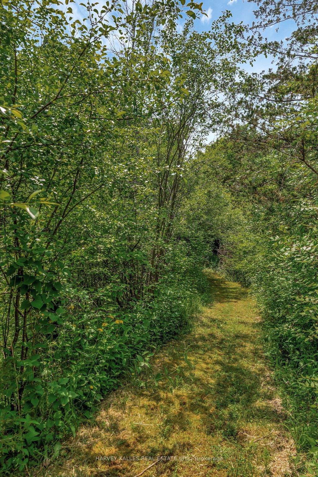 2992 County Rd 7 Road Property Photo 23