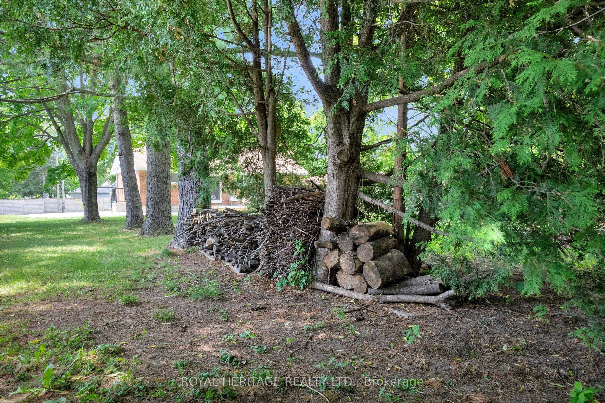 19 Alfred Street Property Photo 33