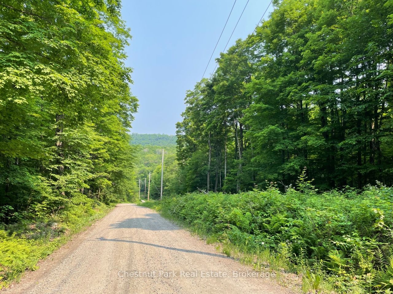 Pt 1 Coleman Lake Road Property Photo
