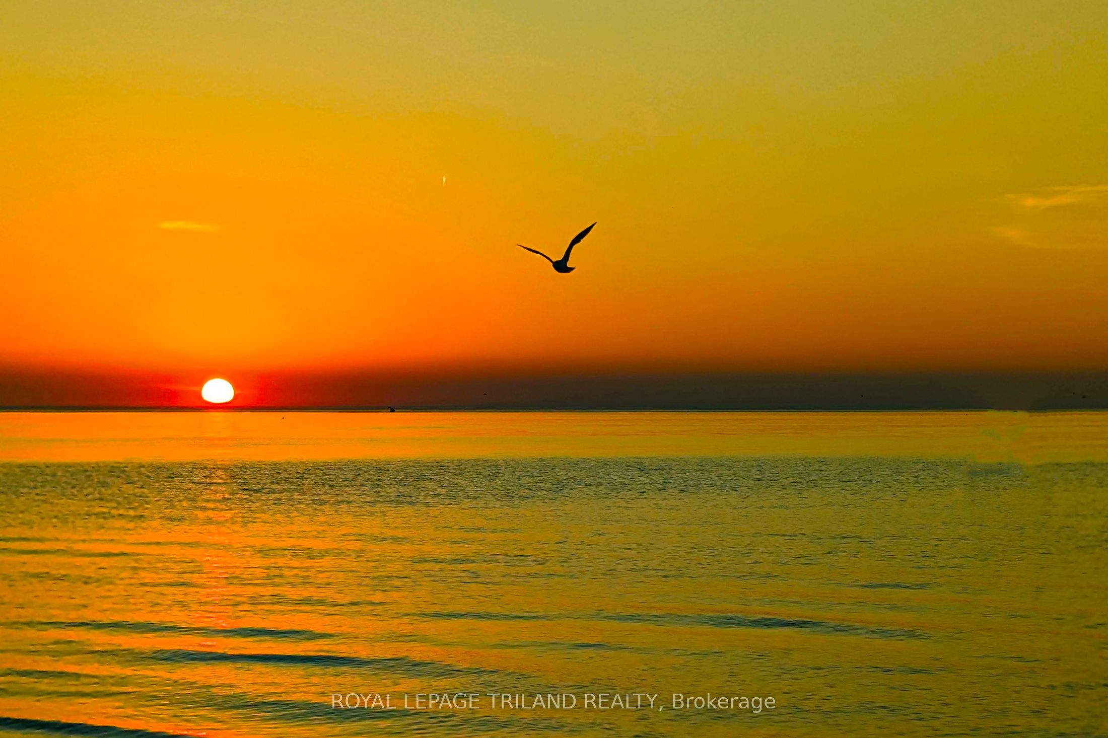 29 Sauble River Road Property Photo 50