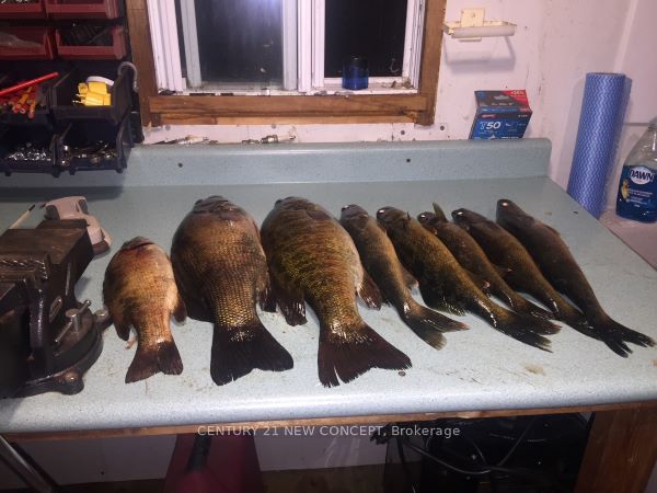 Lot 5 Mattagami Lake N/a Property Photo 33