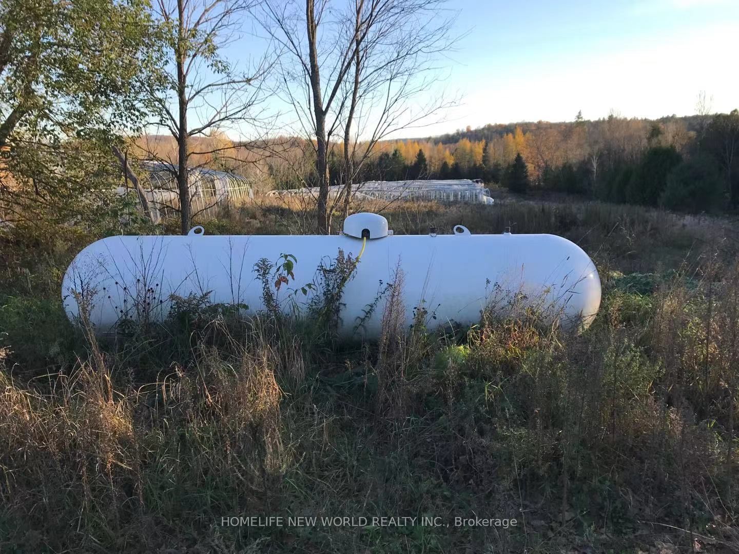 261 Wingle Road Property Photo 8
