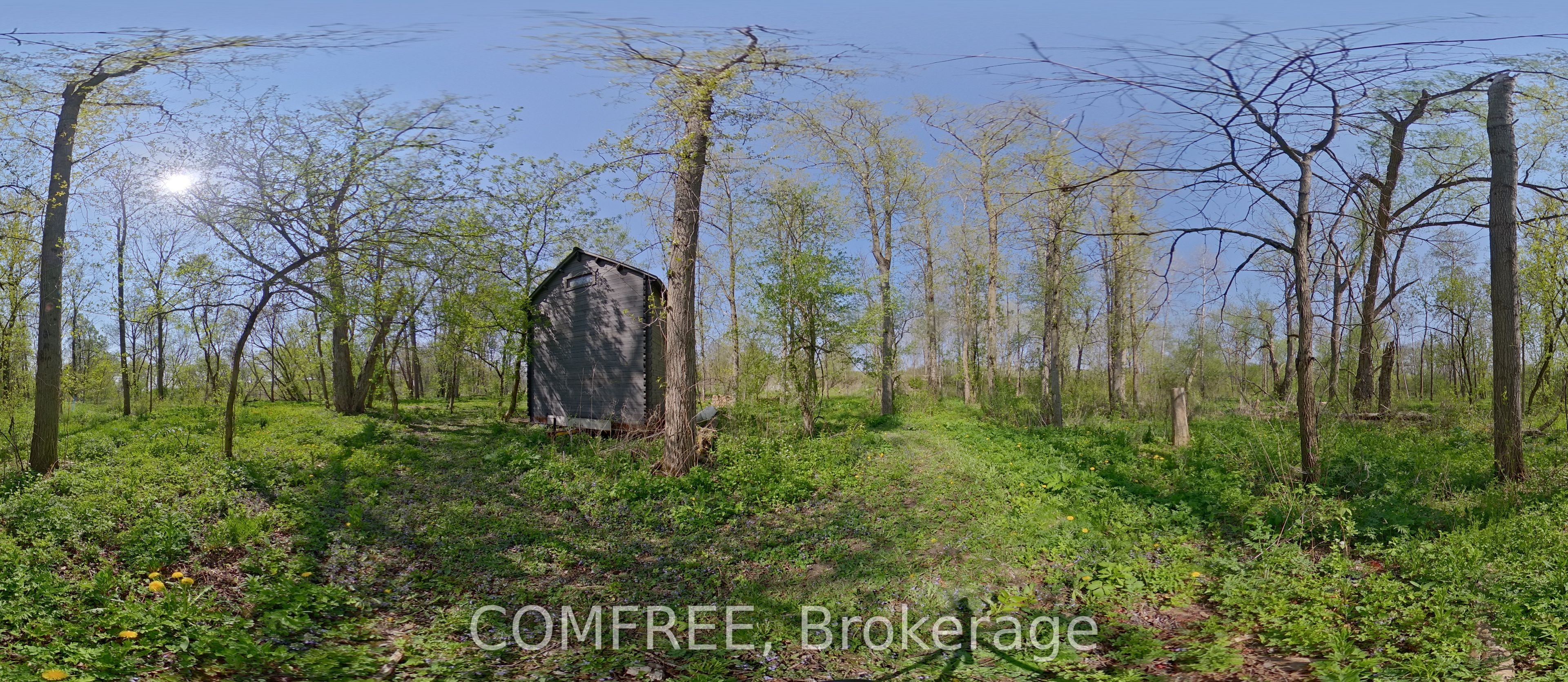 375500 37th Line Property Photo 22