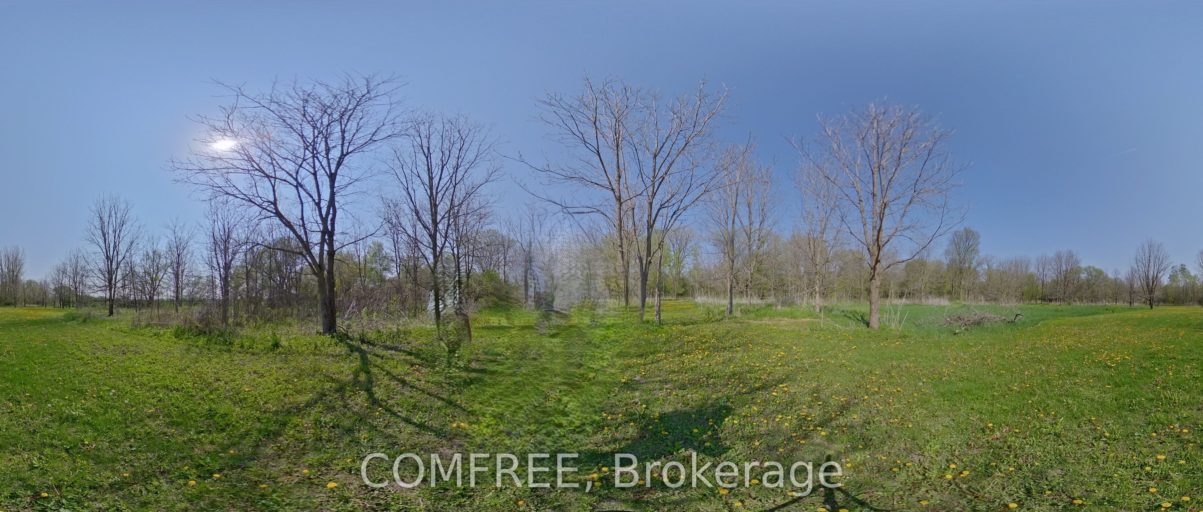 375500 37th Line Property Photo 25
