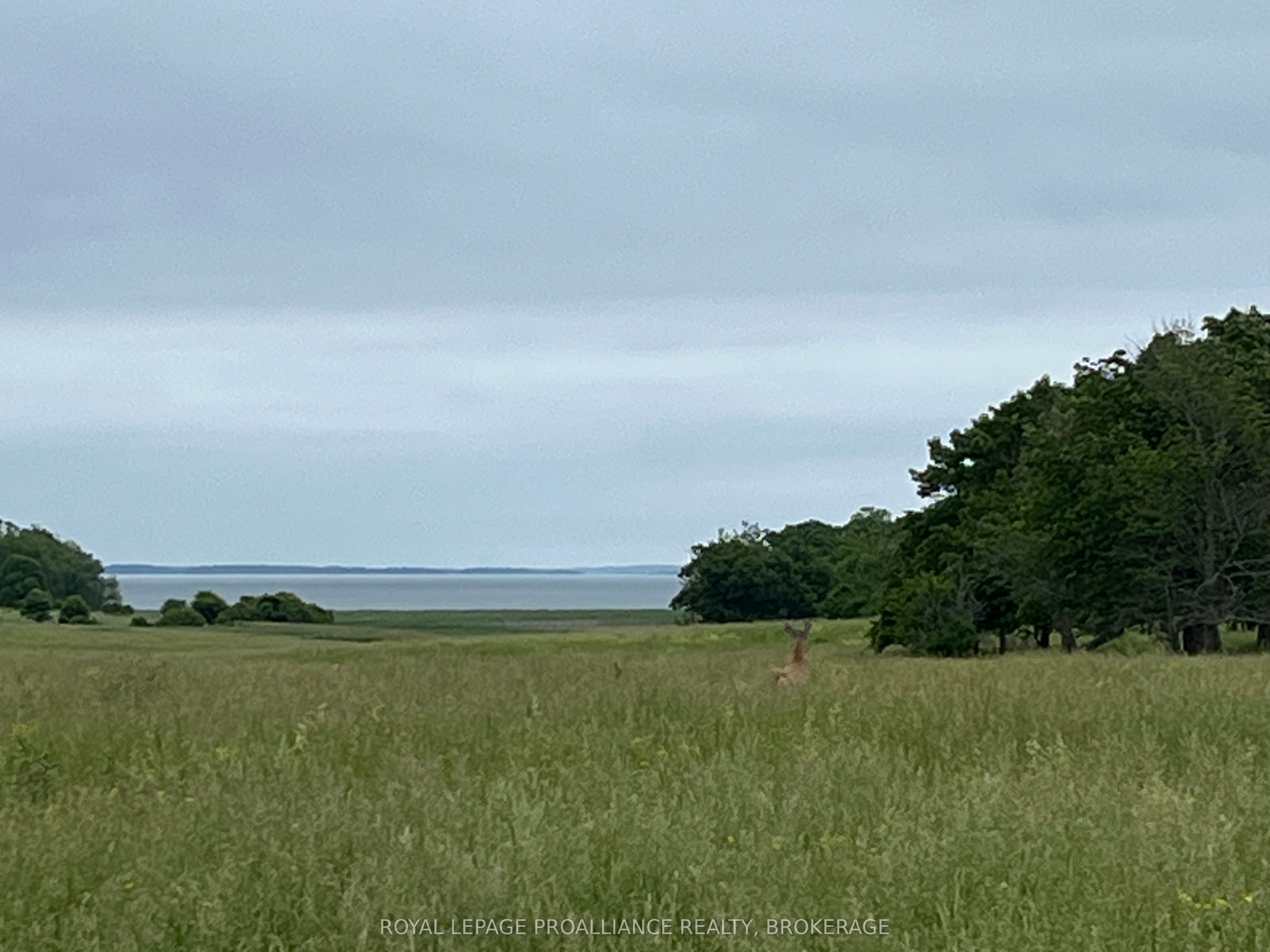 15 Irvine Bay Lane Property Photo 1