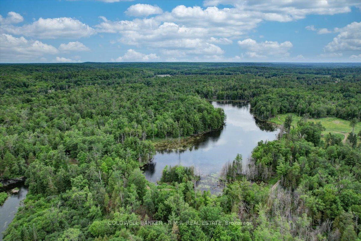 N/A Bass Lake Road Property Photo 1