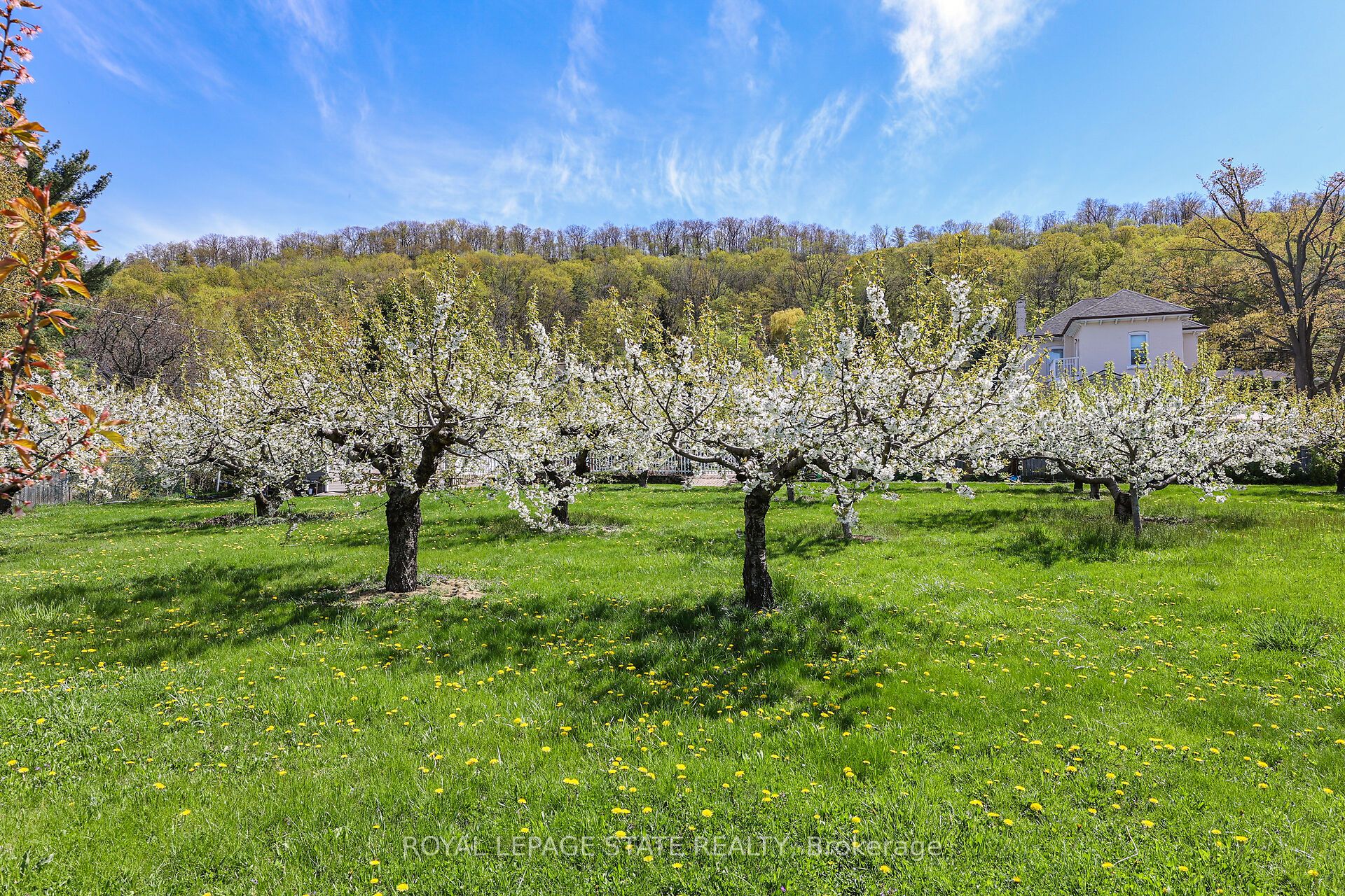 280a Main Street W Property Photo 15