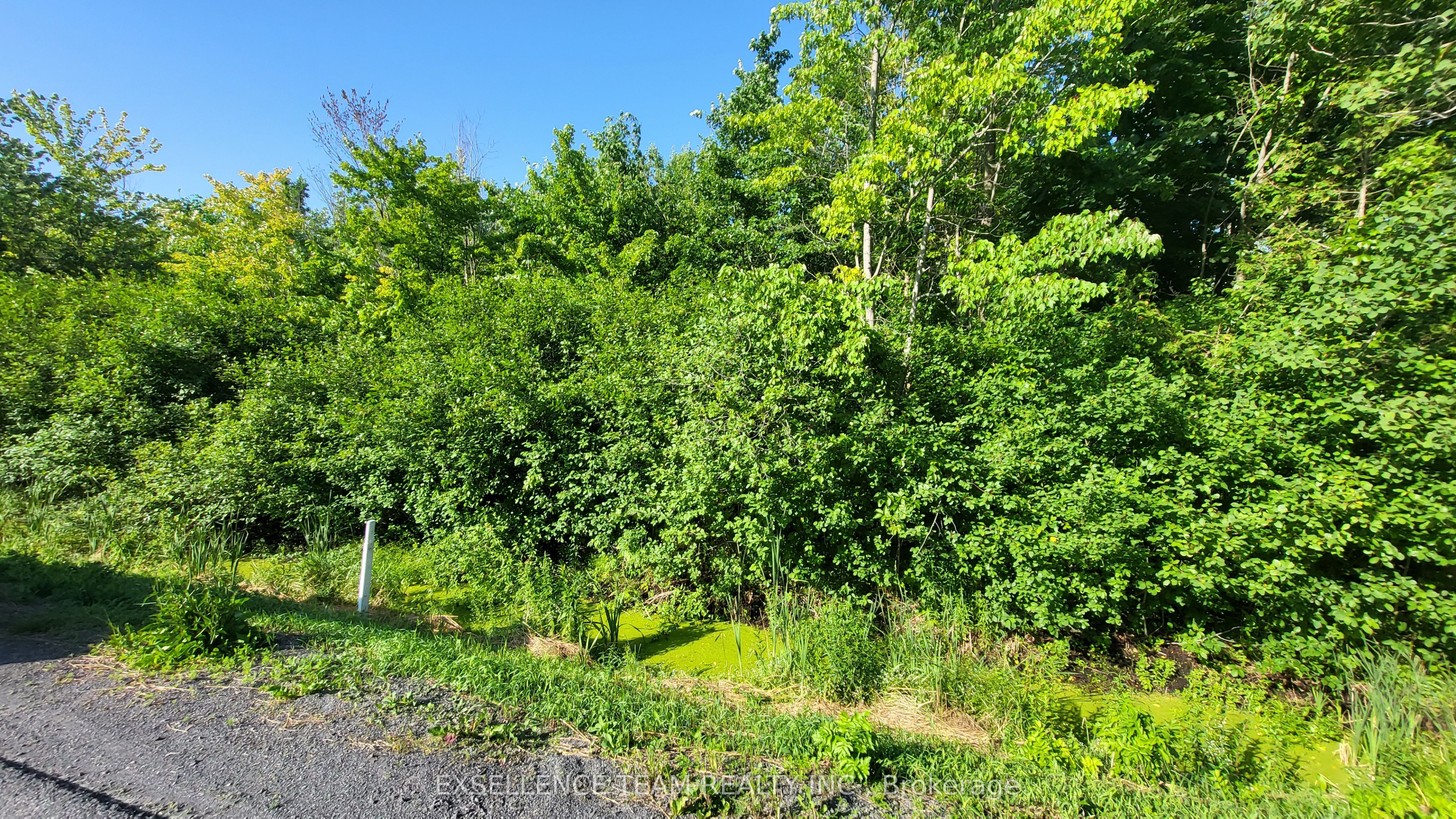 0 Tolmies Corners Road Property Photo 1