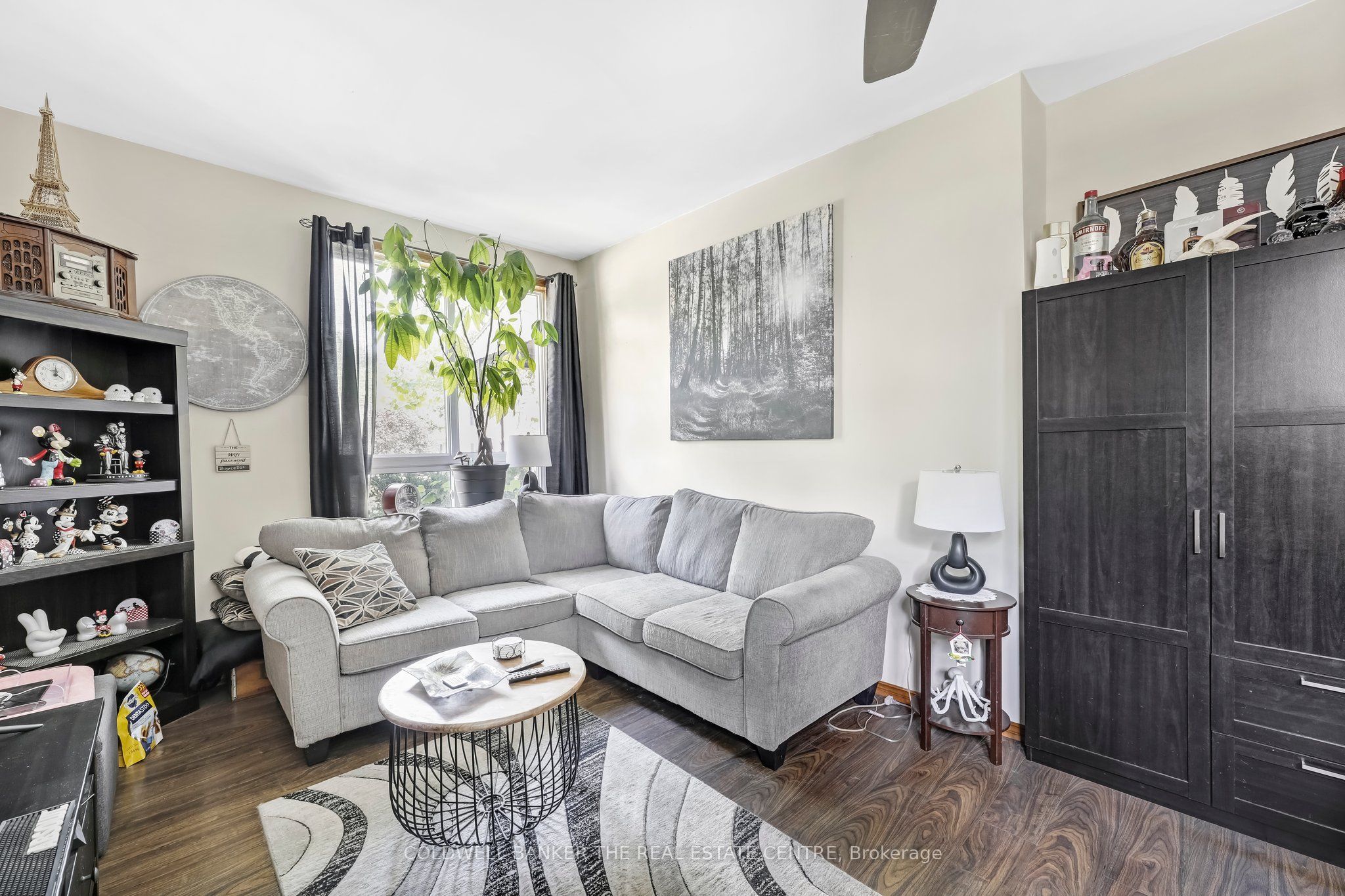 281 Egerton Street Property Photo 6