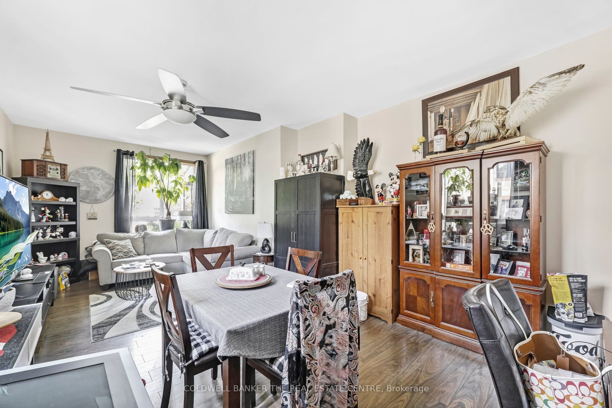 281 Egerton Street Property Photo 8