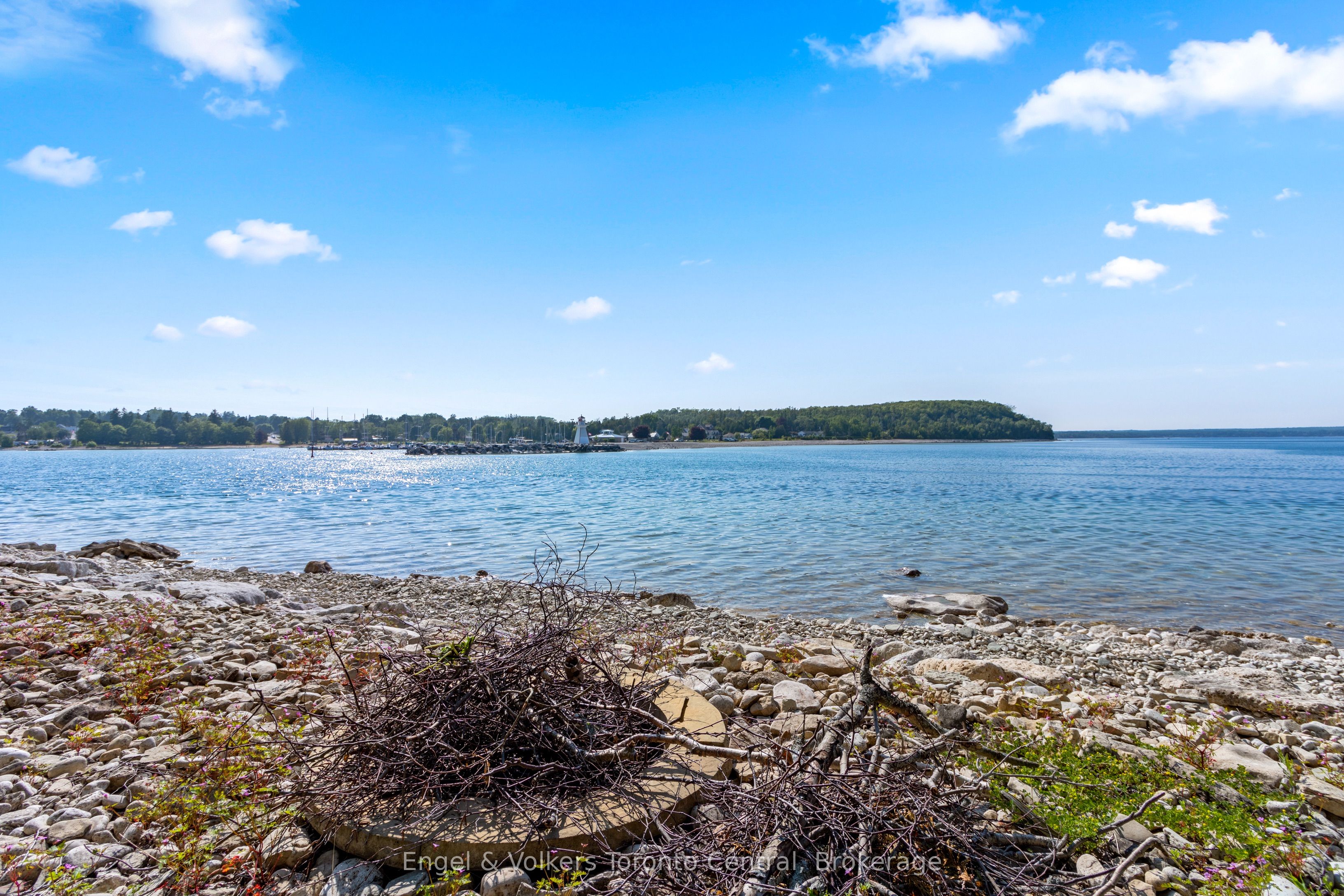 54 William Street Property Photo 35