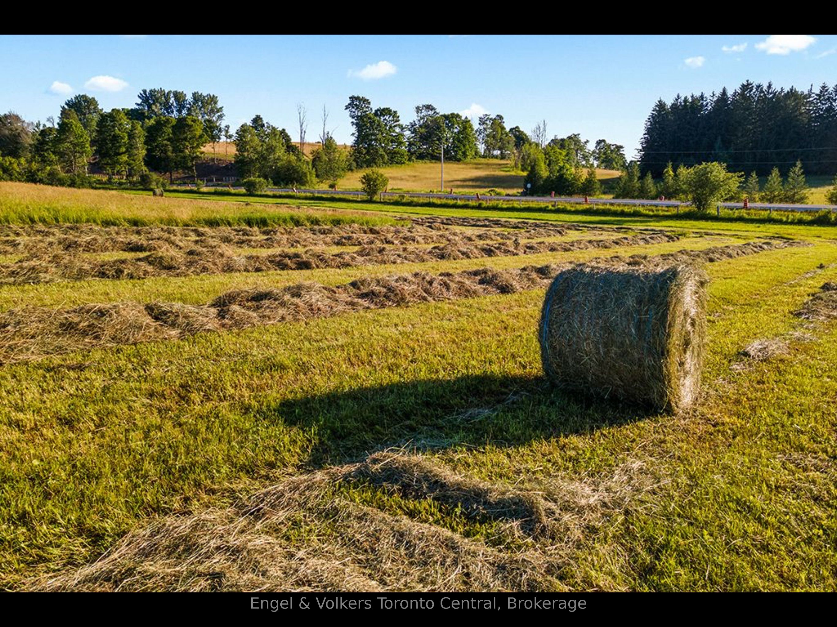 137079 Grey Rd 12 Road Property Photo 7
