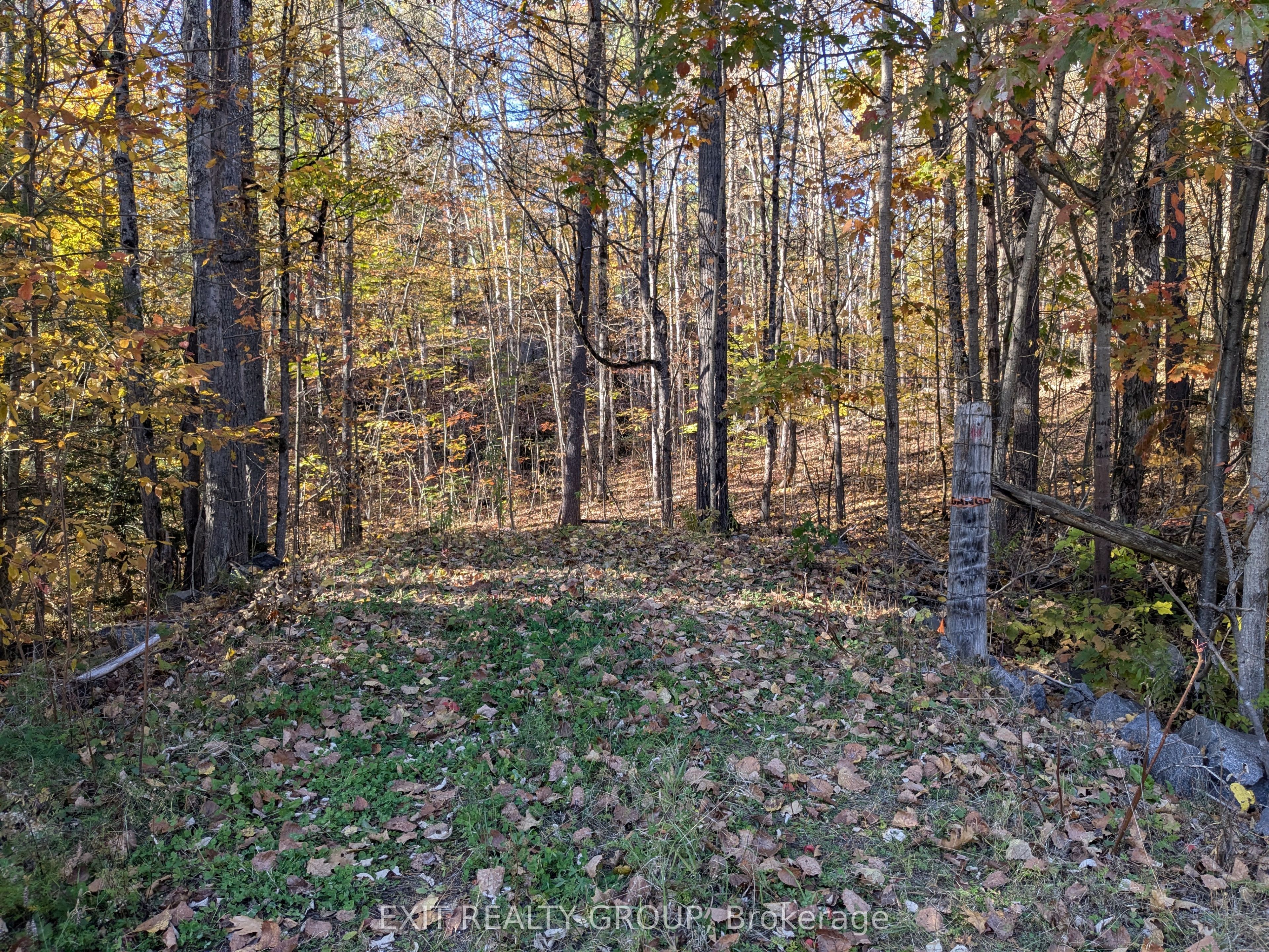 0 Flinton Road Property Photo 1