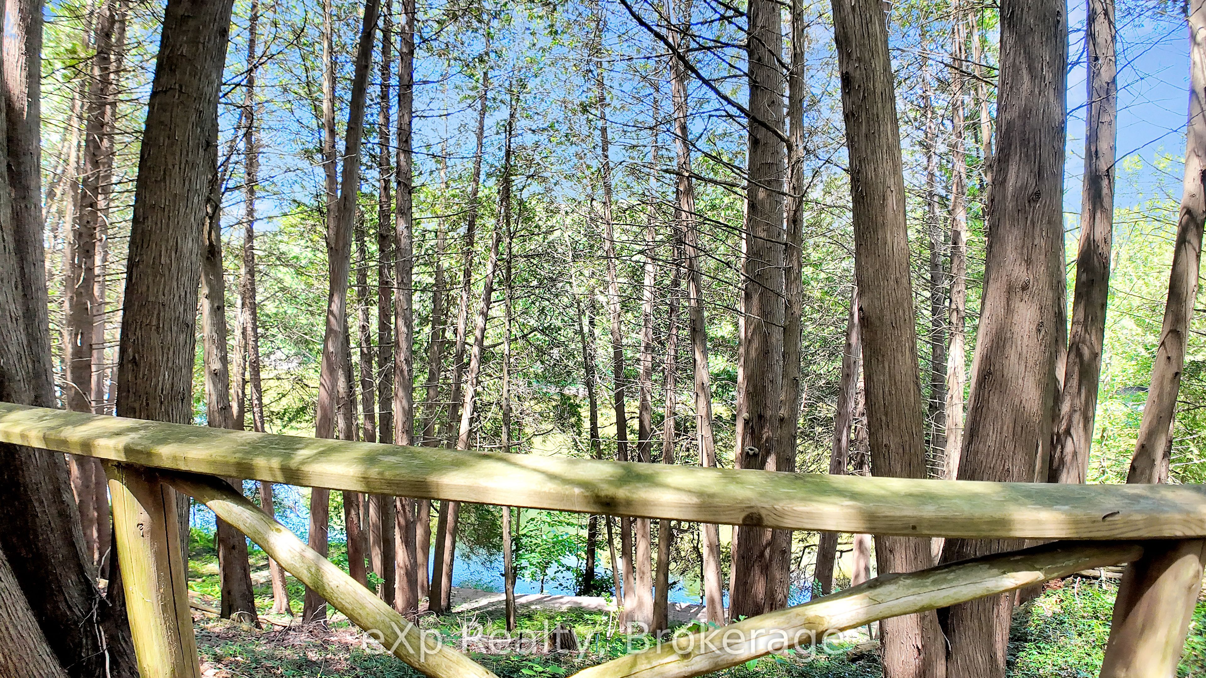 159 Maple Hill Road Property Photo 30