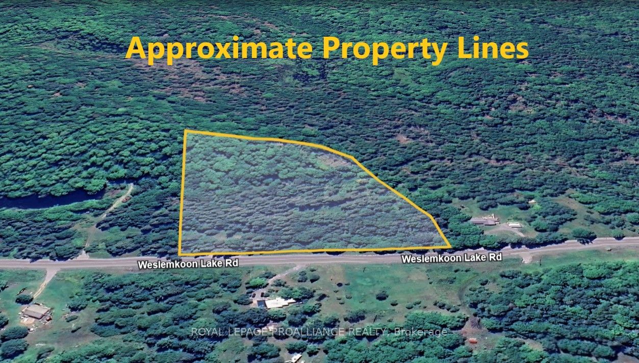 1972 Weslemkoon Lake Road Property Photo 1
