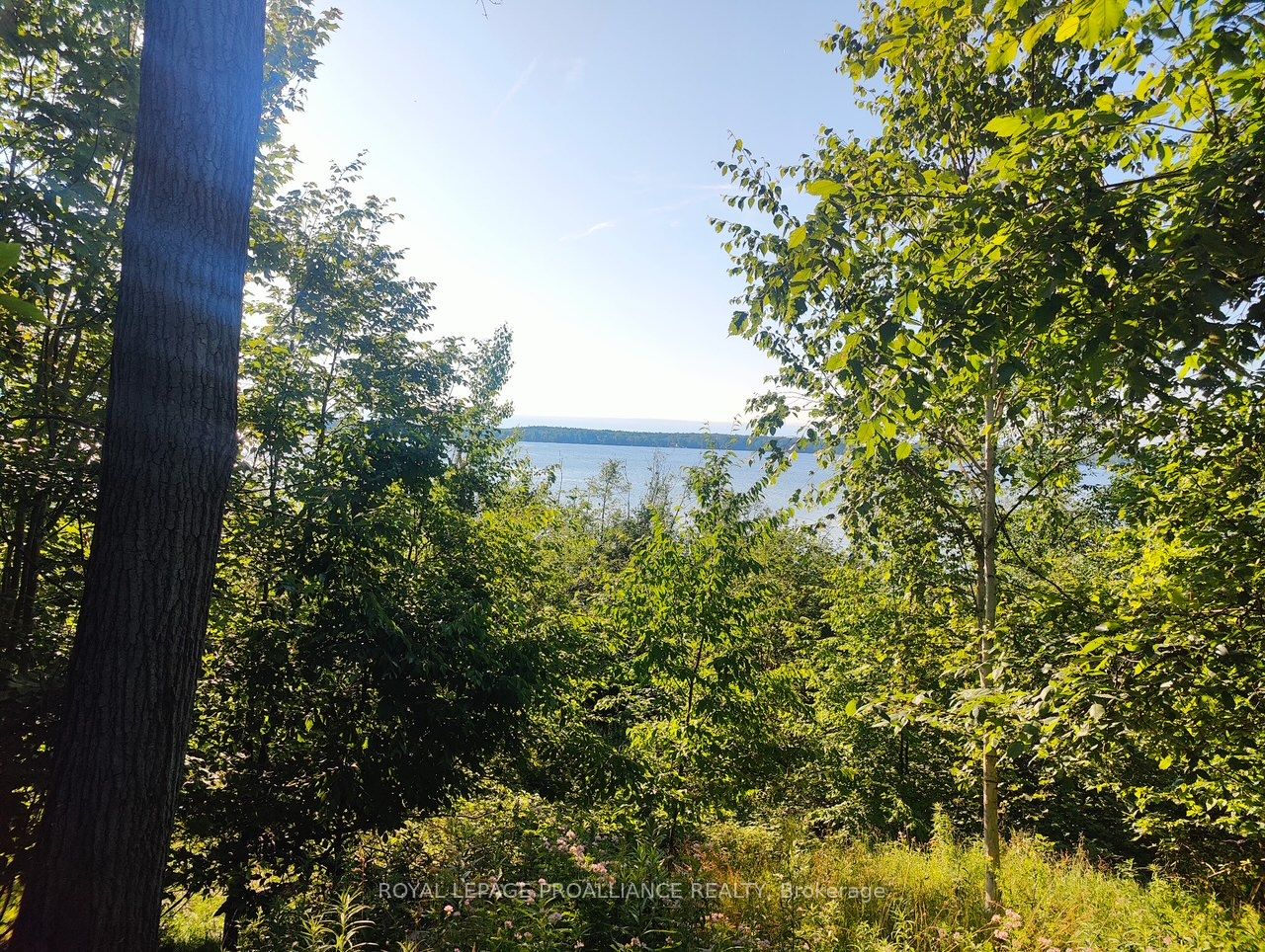 621b Cook Road Property Photo 7