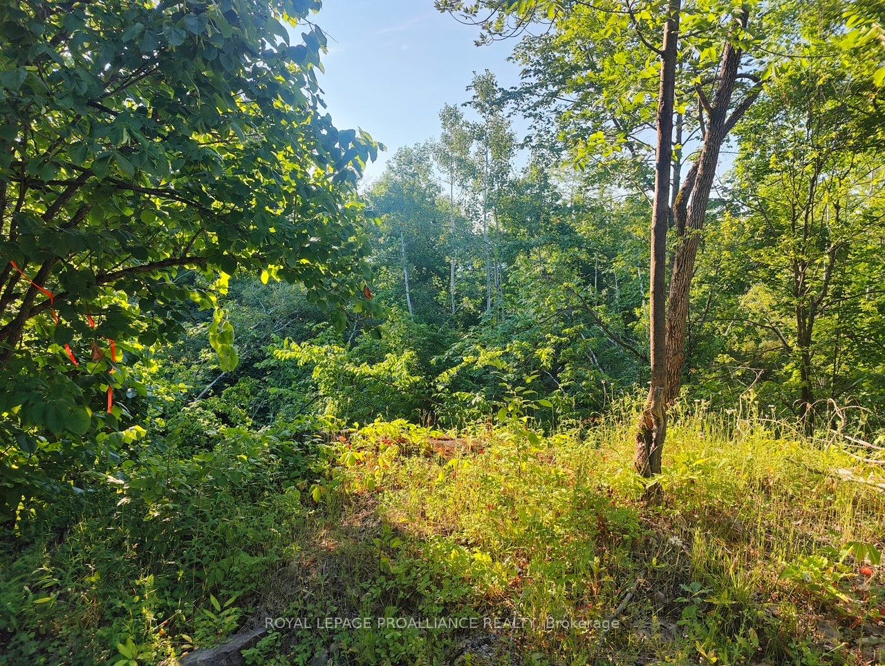 621b Cook Road Property Photo 9