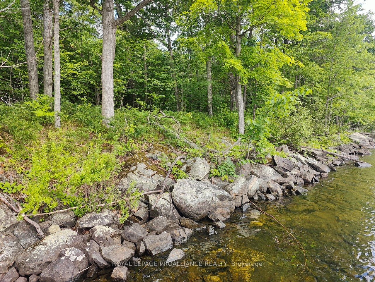 621b Cook Road Property Photo 12