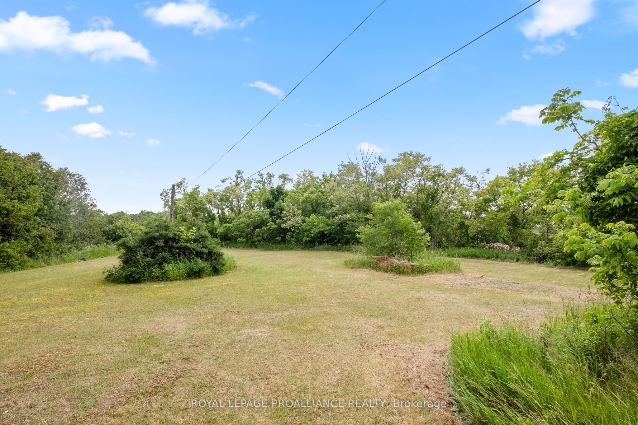 42 Elizabeth Street Property Photo 34