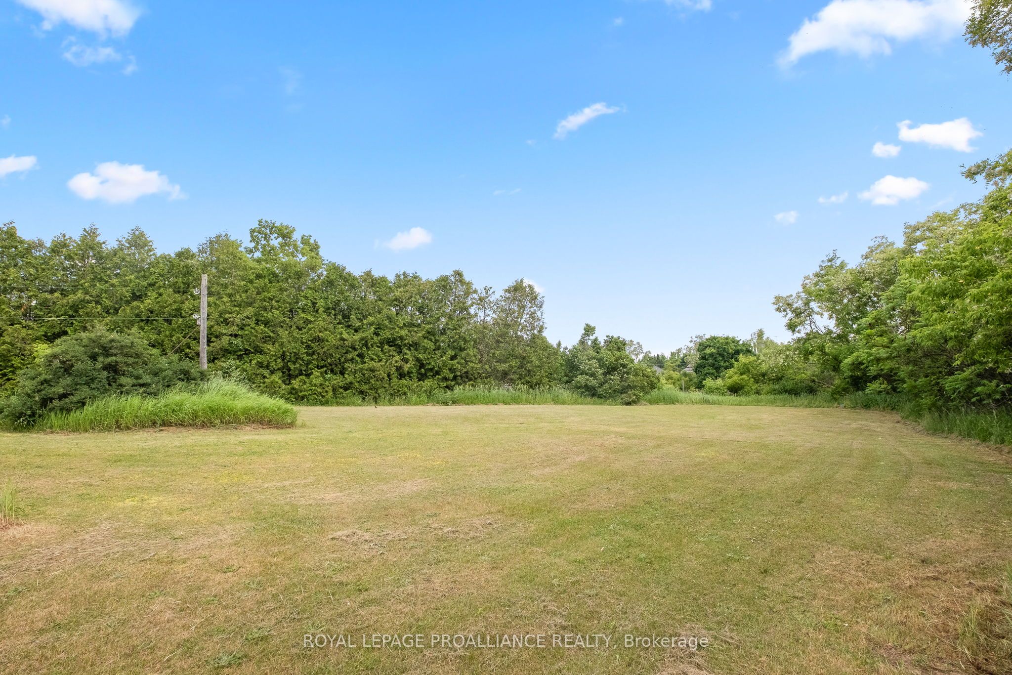 42 Elizabeth Street Property Photo 35