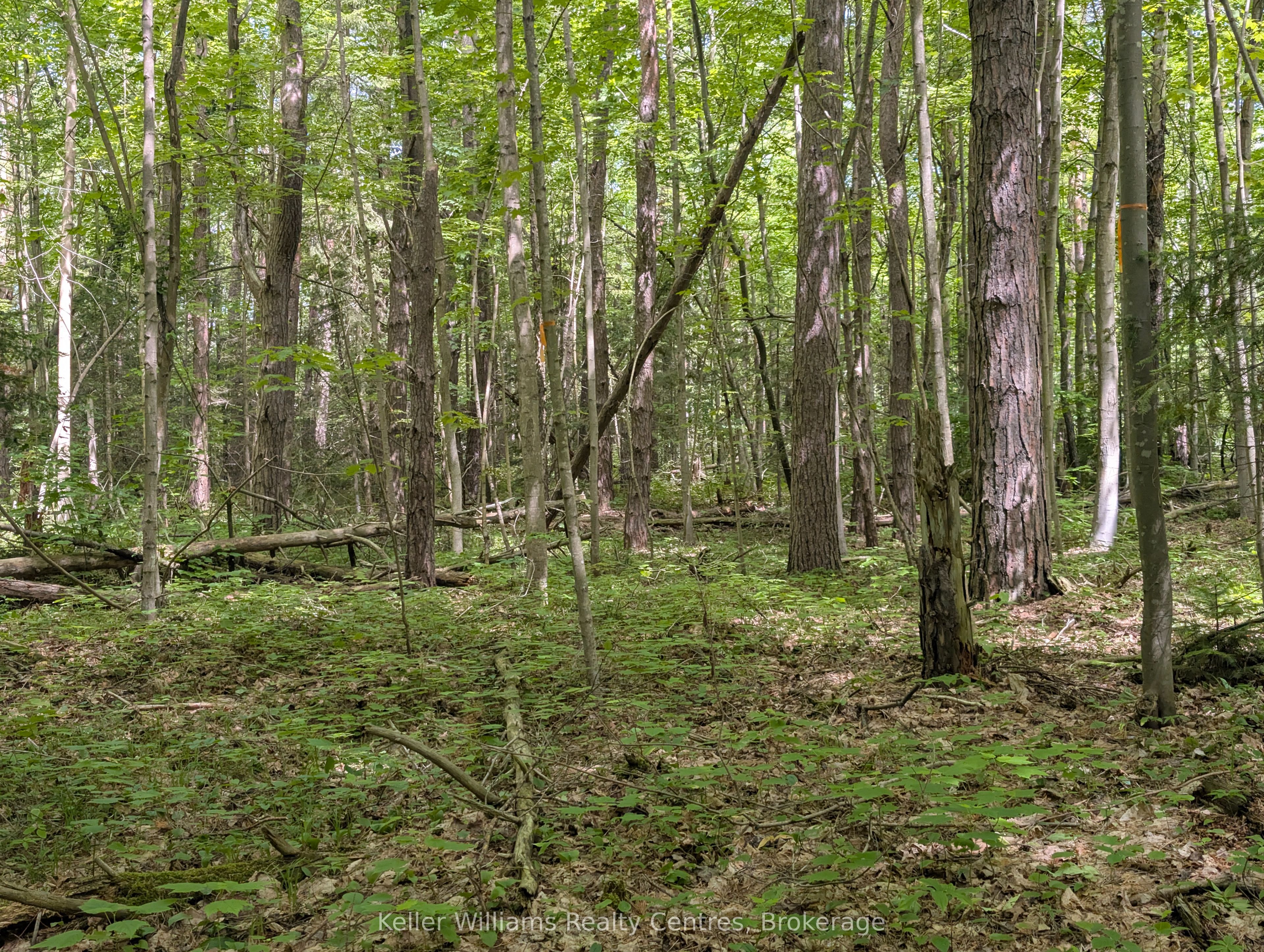 590-608 Huron Road Property Photo 6