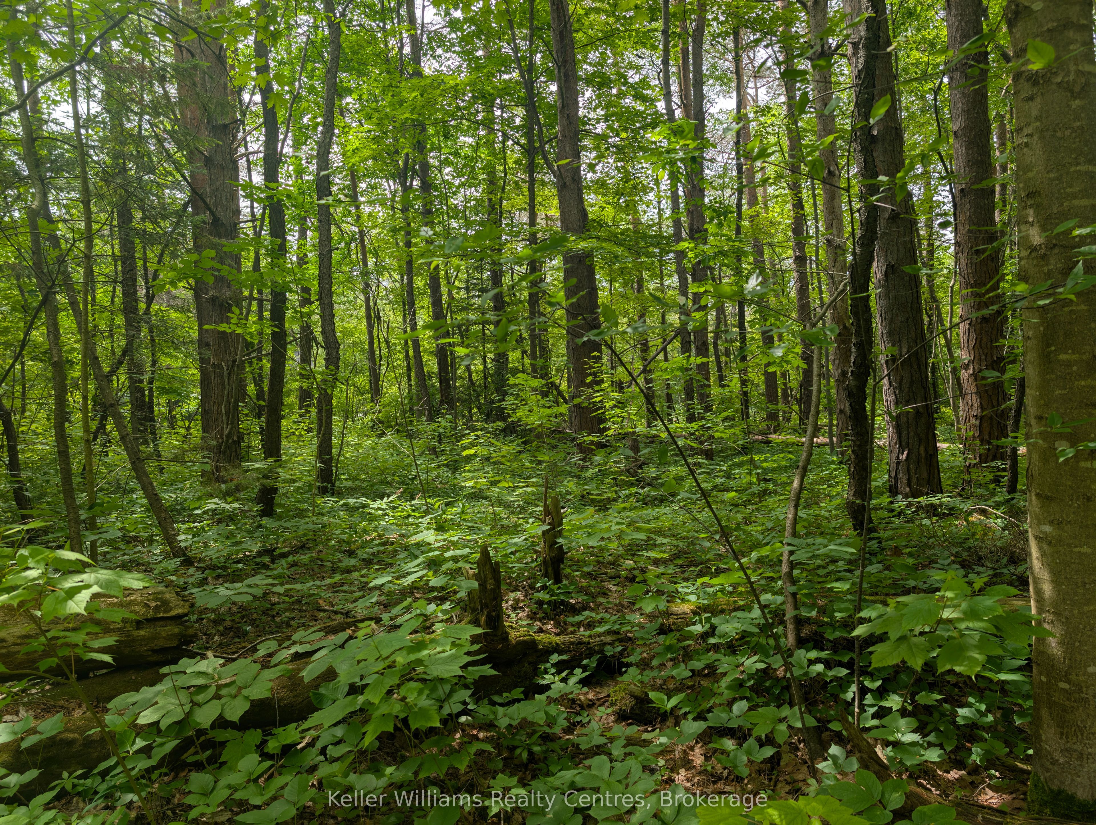 590-608 Huron Road Property Photo 8