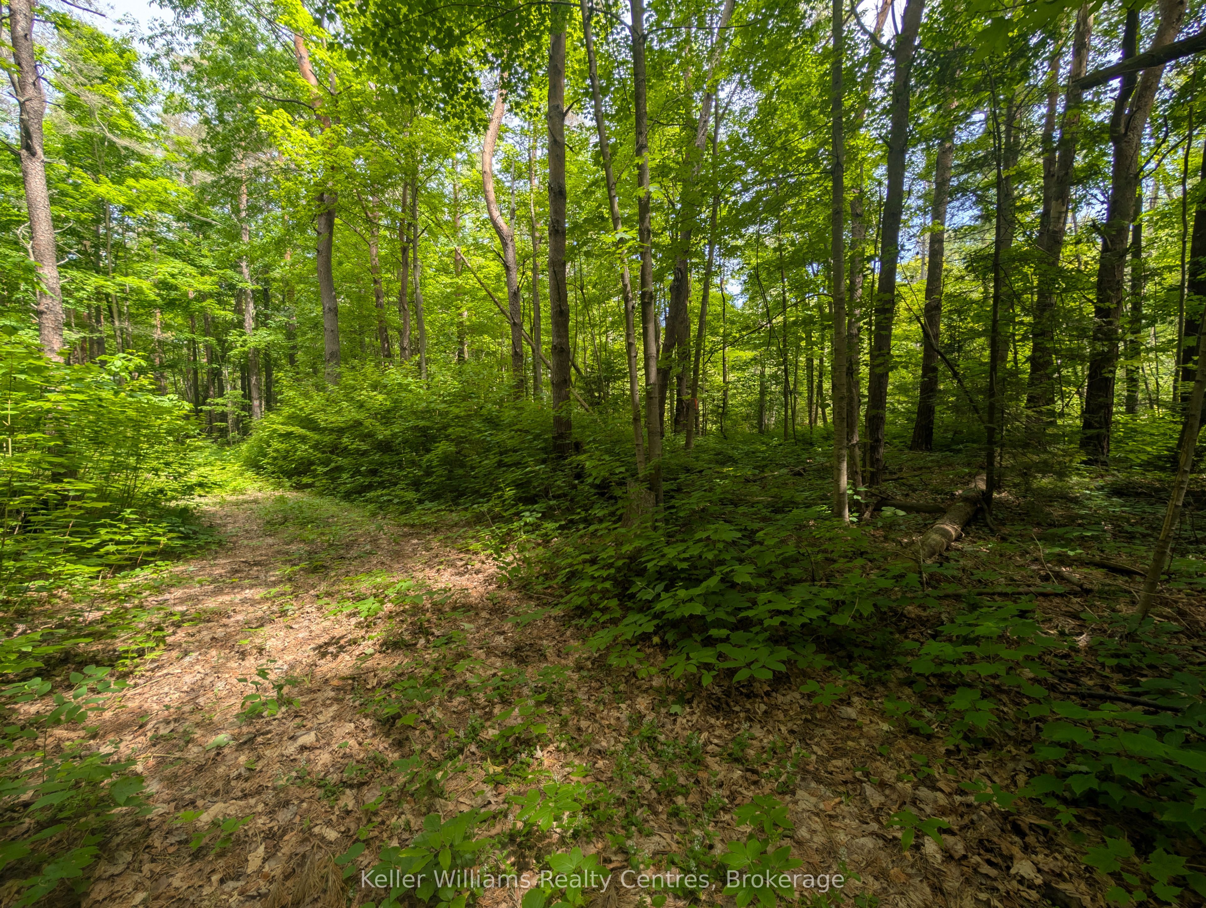 590-608 Huron Road Property Photo 14